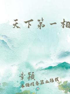 天下第一相书