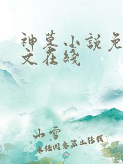 神墓小说免费全文在线