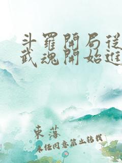 斗罗开局从铁剑武魂开始进化