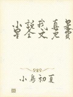 小说我真是大明星全文免费阅读