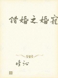 错婚之婚宠一世