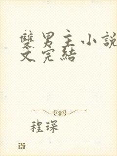 双男主小说高干文完结