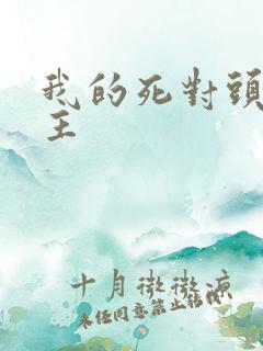 我的死对头双男主