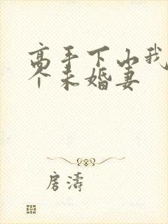 高手下山我有九个未婚妻