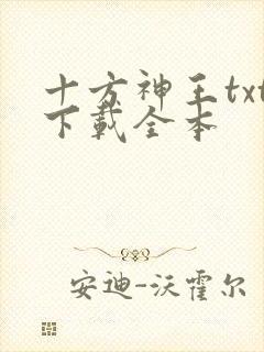 十方神王txt下载全本