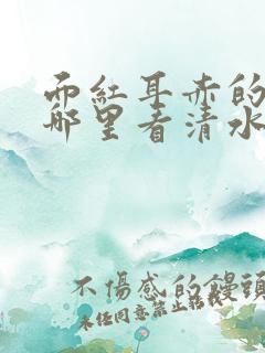 面红耳赤的小说哪里看清水村花