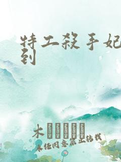 特工杀手妃来驾到