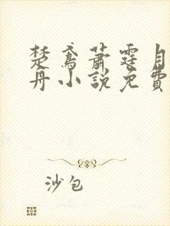 楚鸢萧霆月萧行舟小说免费阅读