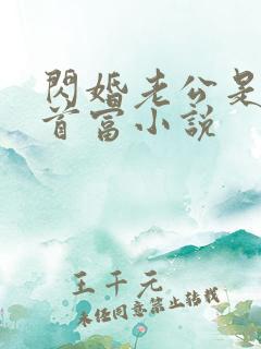 闪婚老公是千亿首富小说