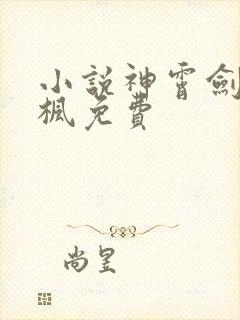 小说神霄剑宗林枫免费