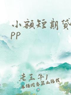 小额短期贷款app