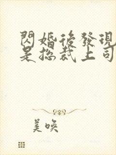 闪婚后发现老公是总裁上司花哓七