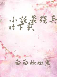 小说最强兵王txt下载