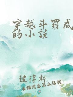 穿越斗罗成魂兽的小说