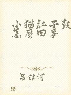 小猫肚子鼓鼓的怎么回事