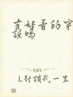 有好看的穿越小说吗