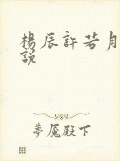 杨辰许若月的小说