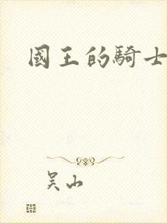 国王的骑士