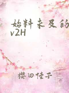 始料未及的软1v2H