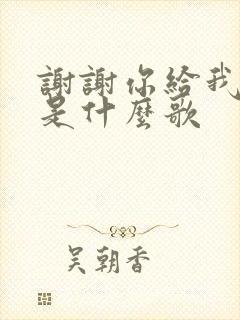 谢谢你给我的爱是什么歌