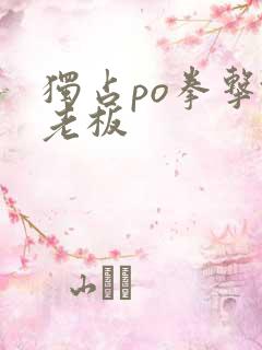 独占po拳击馆老板