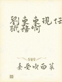 刘东东现任什么职务啊