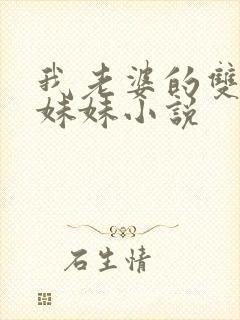 我老婆的双胞胎妹妹小说