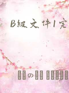 B级文件1完整