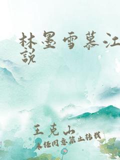 林墨雪慕江行小说