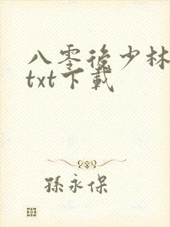 八零后少林方丈txt下载