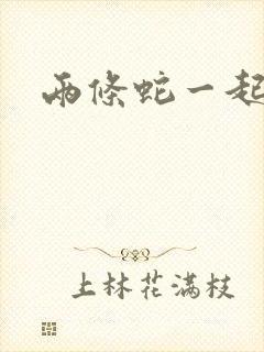 两条蛇一起要我