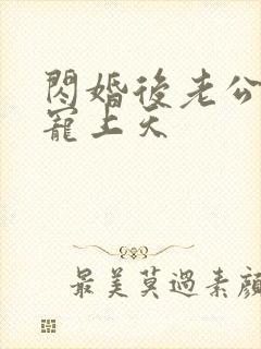 闪婚后老公每天宠上天