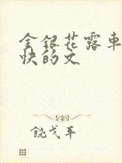 金银花露车速最快的文