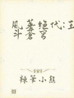 风华绝代:王妃斗苍穹