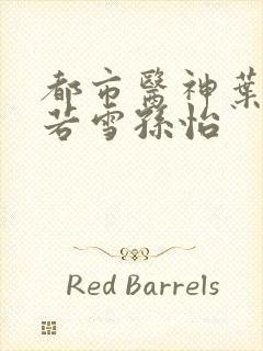 都市医神叶辰夏若雪孙怡