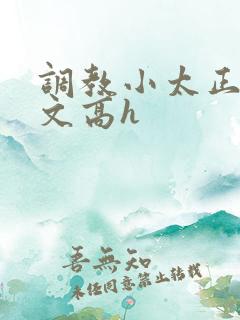 调教小太正肉车文高h