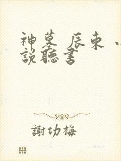 神墓 辰东 小说听书