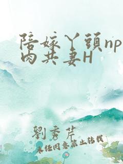 陪嫁丫头np全肉共妻H