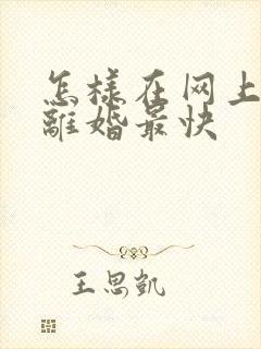 怎样在网上起诉离婚最快