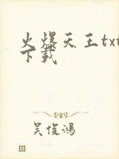 火爆天王txt下载