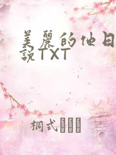 美丽的他日剧小说TXT