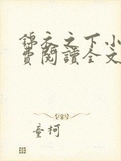 锦衣之下小说免费阅读全文无删减