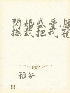 闪婚盛爱,腹黑总裁把我宠上天