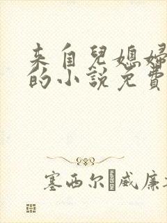 来自儿媳妇的爱的小说免费阅读