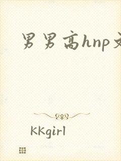 男男高hnp文