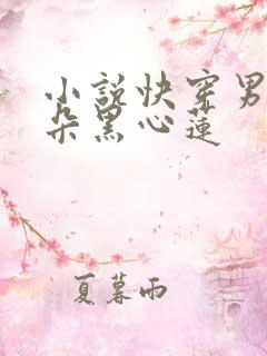 小说快穿男神是朵黑心莲