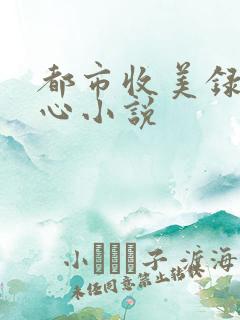 都市收美录宁素心小说