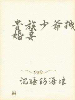 贵族少爷拽拽未婚妻