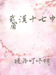 武汉十七中女主角