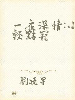 一夜深情:小叔轻点宠